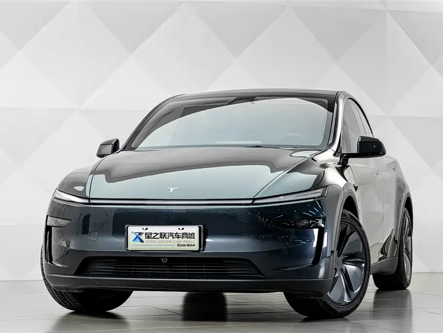 Tesla Model Y — миниатюра 2