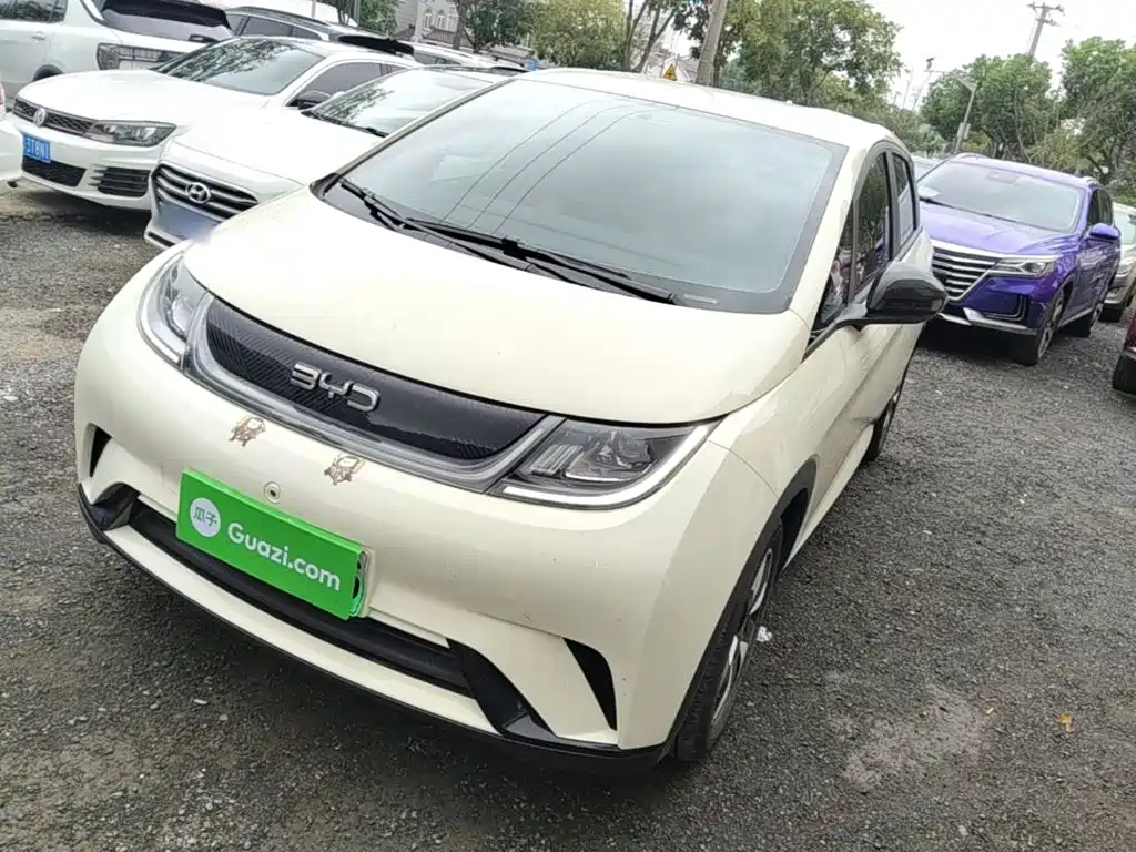 BYD Dolphin — миниатюра 2