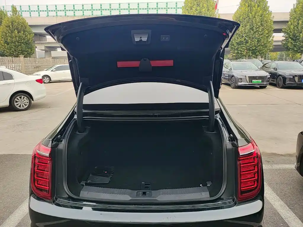 Hongqi Hongqi H9 — миниатюра 19