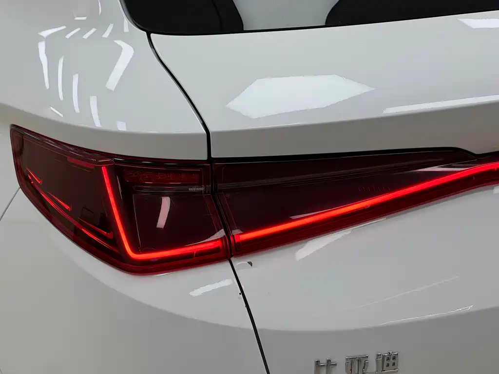 BYD e2 — миниатюра 9