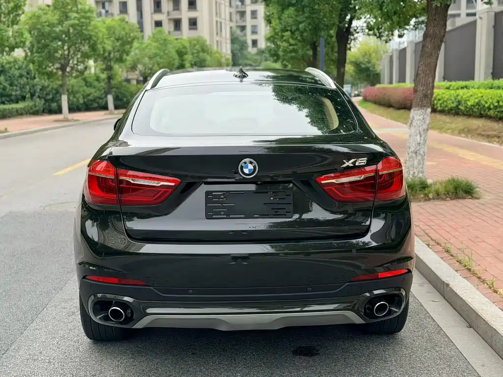 BMW X6 — миниатюра 11