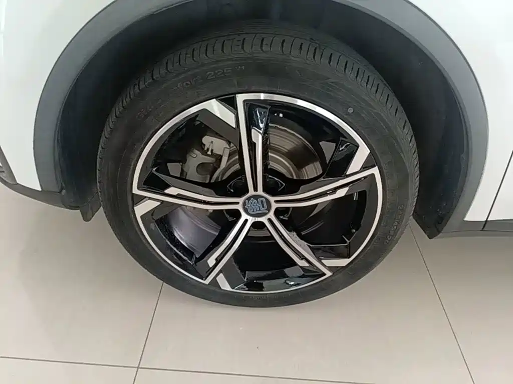 BYD Tang New Energy — миниатюра 23