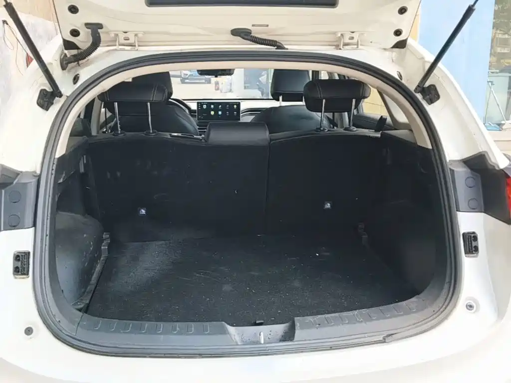 Haval Chitu — миниатюра 19