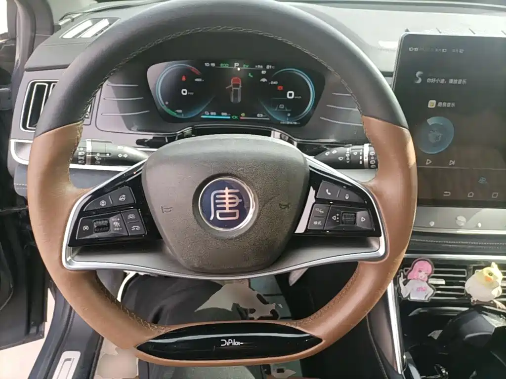 BYD Tang New Energy — миниатюра 11
