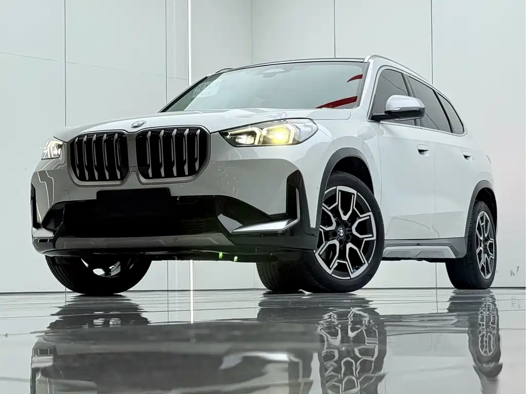 BMW X1 — миниатюра 2