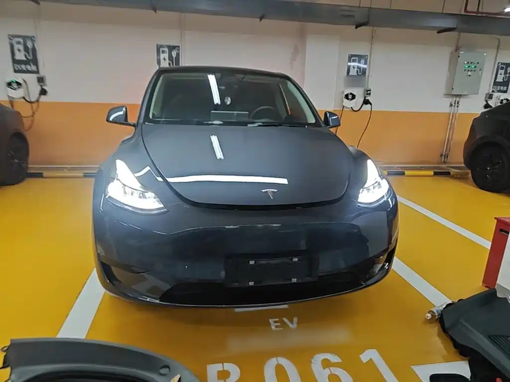 Tesla Model Y — миниатюра 3