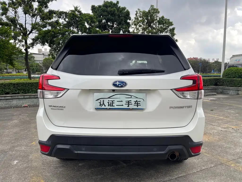 Subaru Forester — миниатюра 3