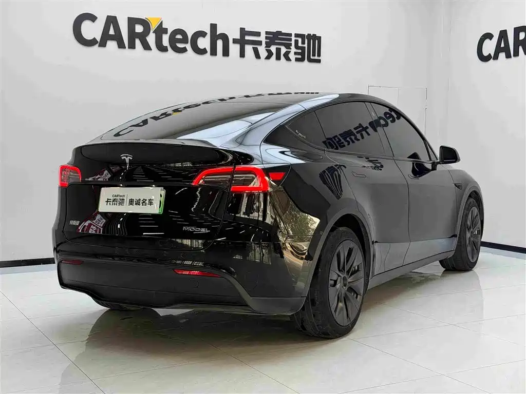 Tesla Model Y — миниатюра 7
