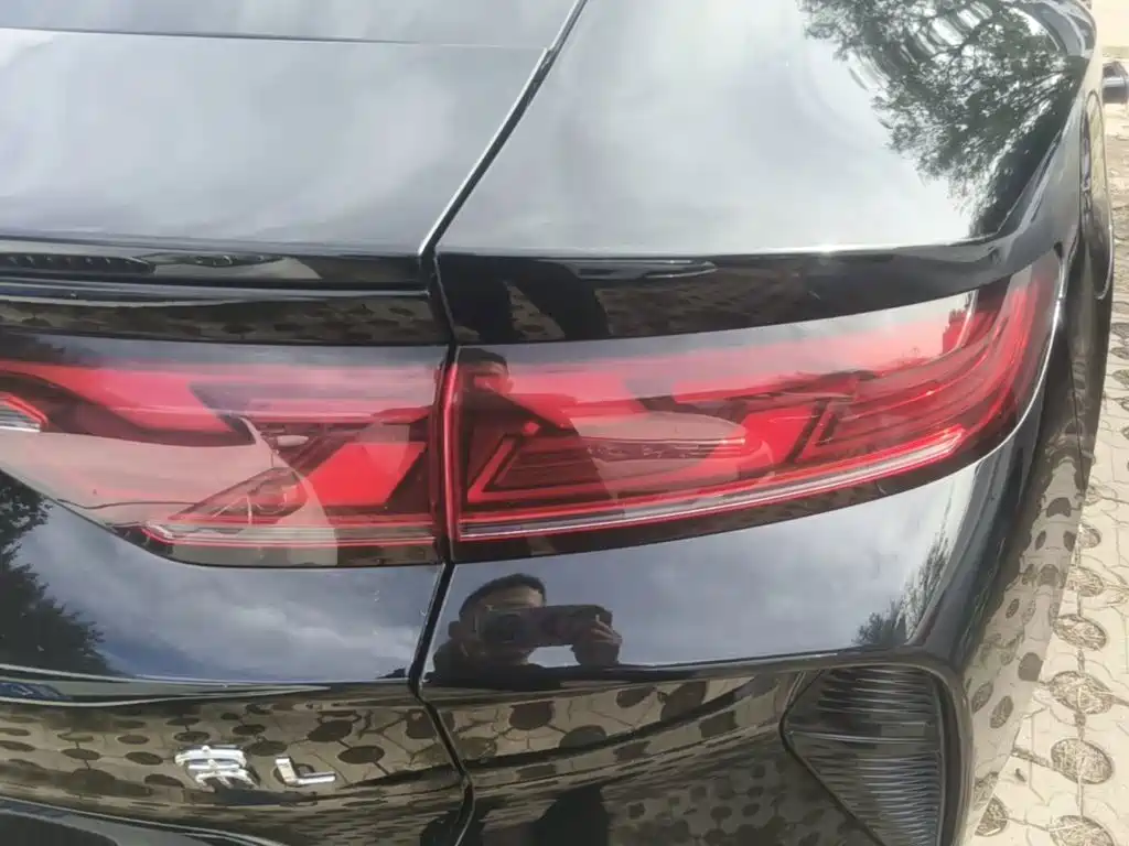 BYD L EV — миниатюра 8