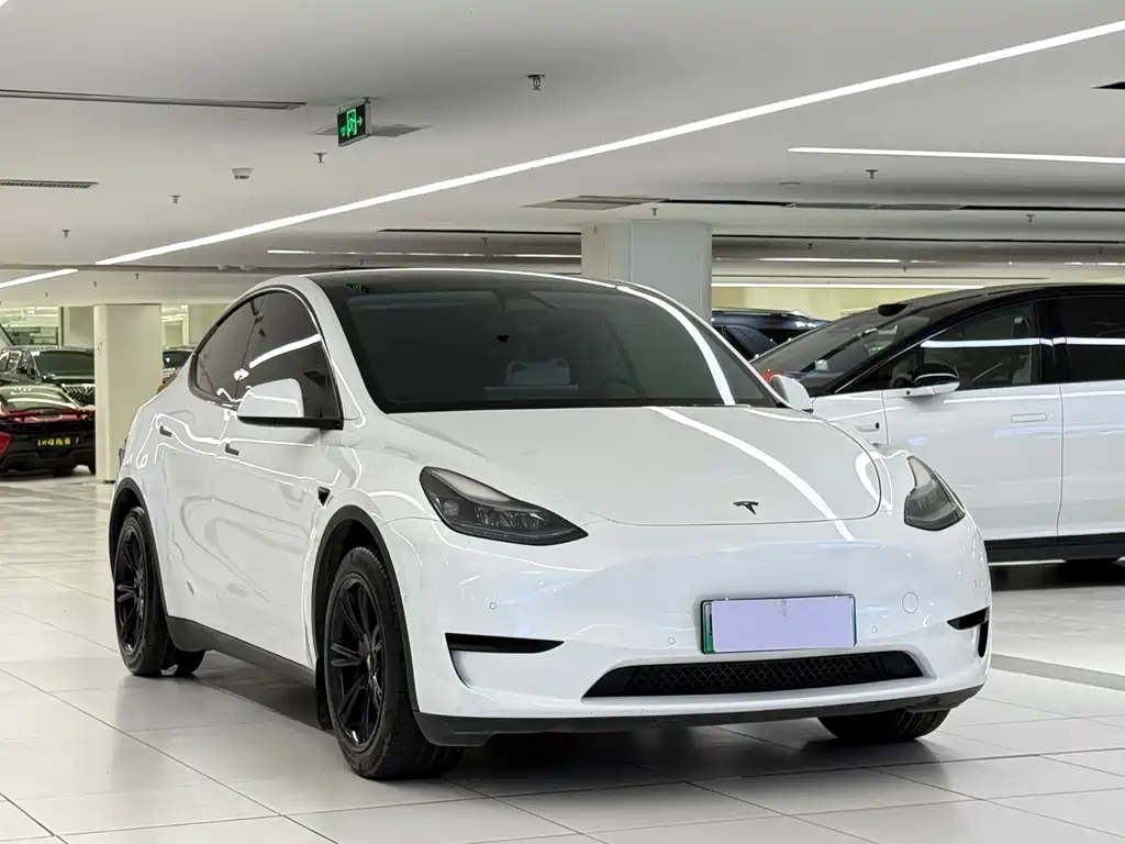 Tesla Model Y — миниатюра 3