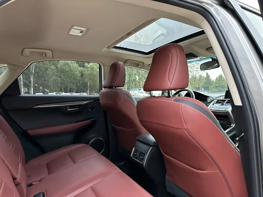 Lexus NX — миниатюра 20