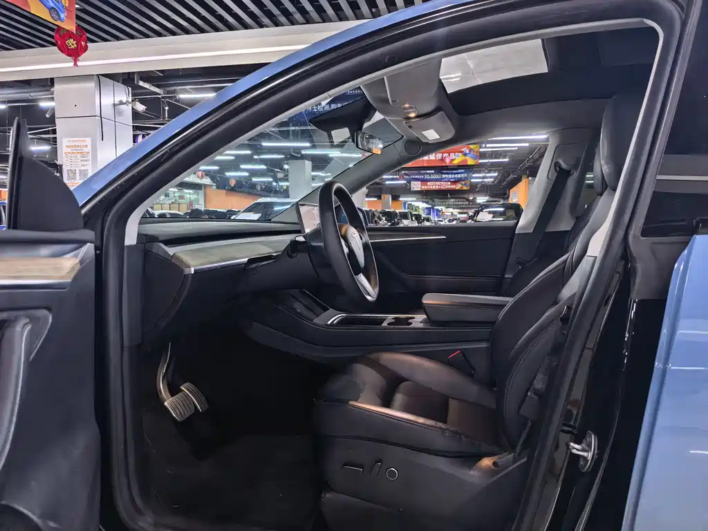 Tesla Model Y — миниатюра 4