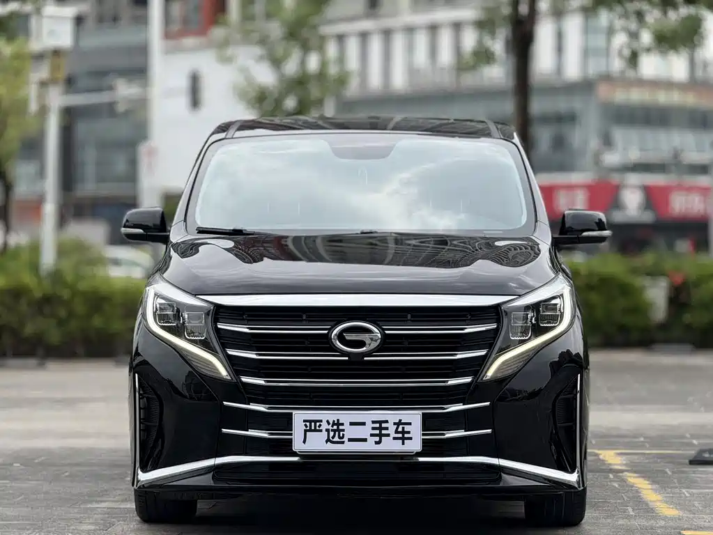 GAC Motor Trumpchi M8 — миниатюра 2