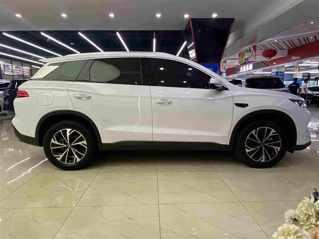 BYD Pro New Energy — миниатюра 15