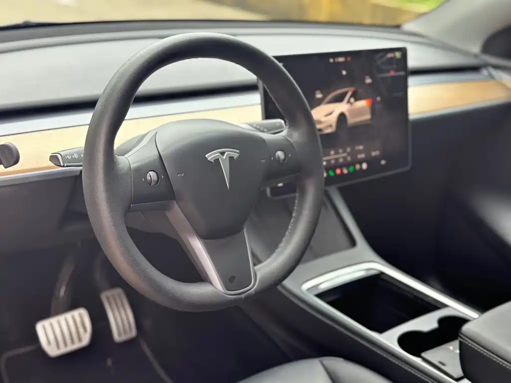 Tesla Model Y — миниатюра 6