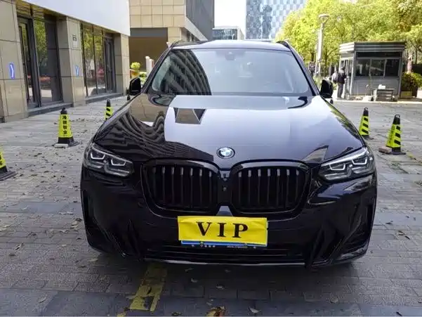 BMW X3 — миниатюра 2