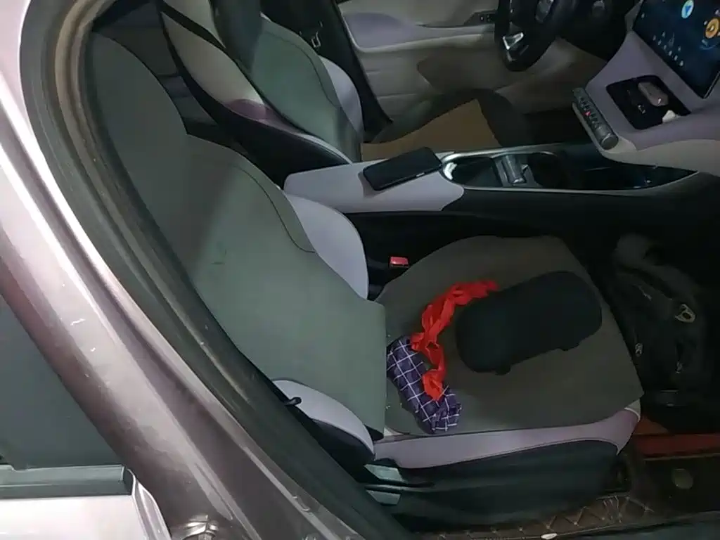 BYD Dolphin — миниатюра 25