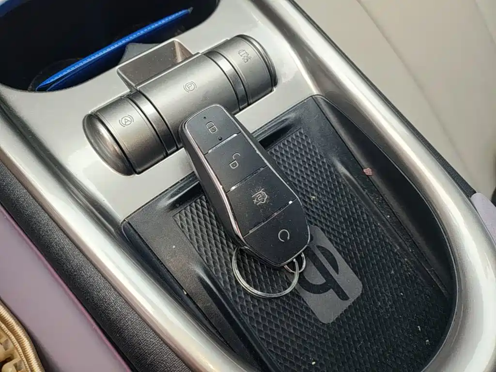 BYD Dolphin 2021 405km Fashion
