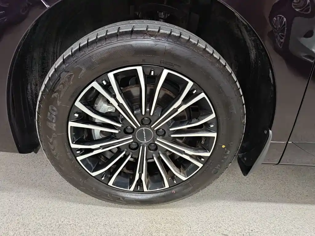 Fengxing Xinghai V9 — миниатюра 23