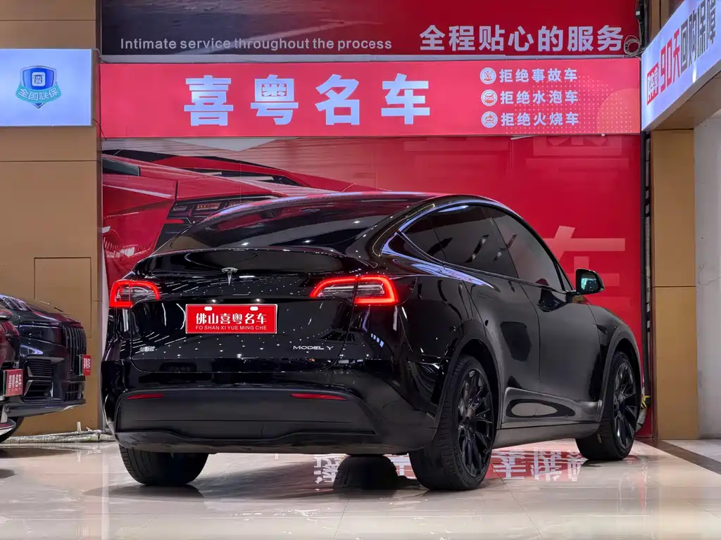 Tesla Model Y — миниатюра 2