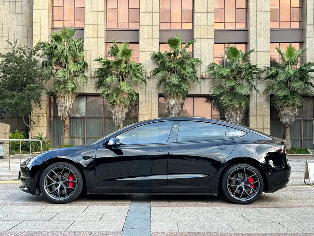 Tesla Model 3 — миниатюра 4