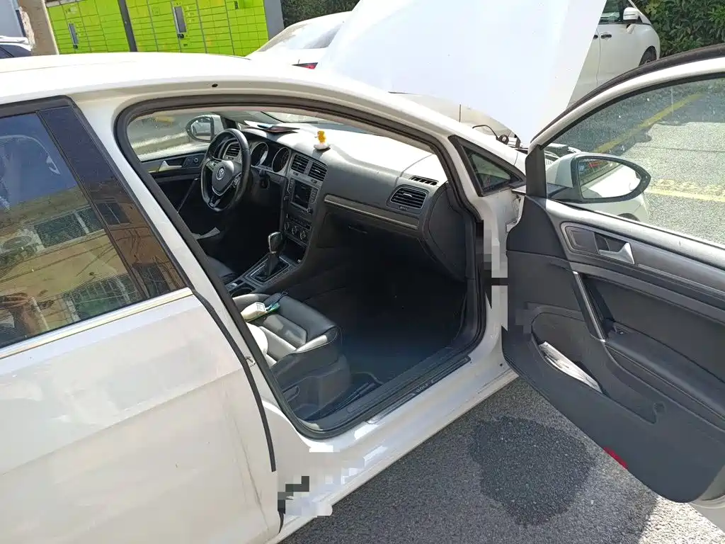 Volkswagen Golf — миниатюра 19