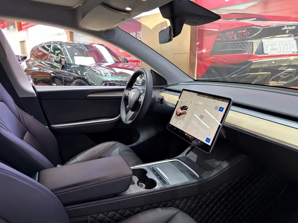 Tesla Model Y — миниатюра 10