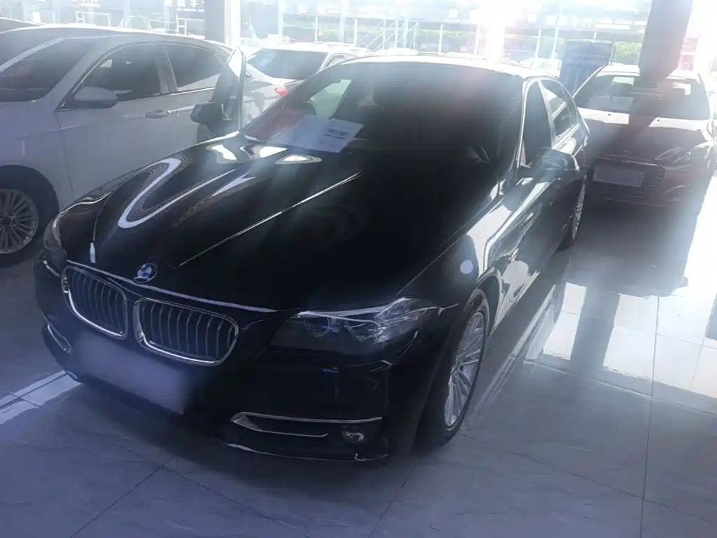 BMW 5 Series 5 2014 525Li Lead