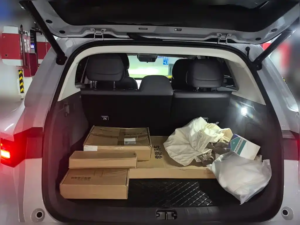 Leapmotor Leapmotor B10 — миниатюра 15