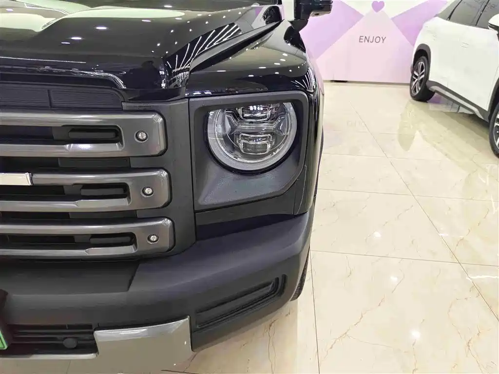 HAVAL RAPTORS NEW ENERGY