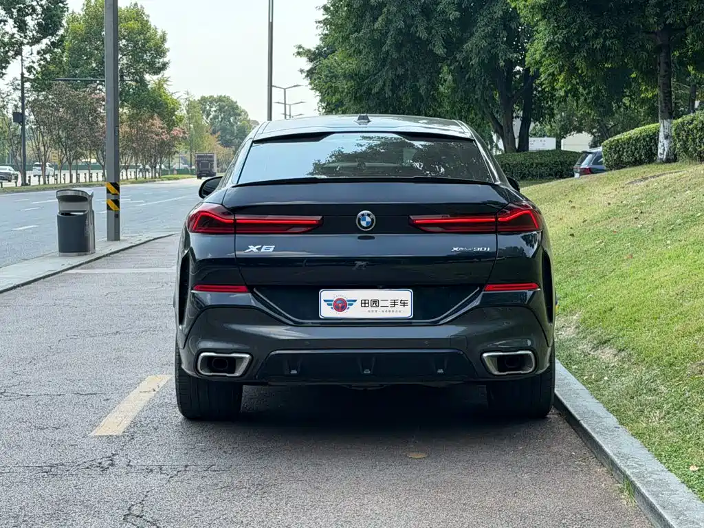 BMW X6 — миниатюра 5