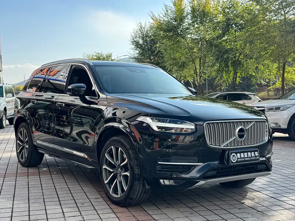 Volvo XC90 — миниатюра 3