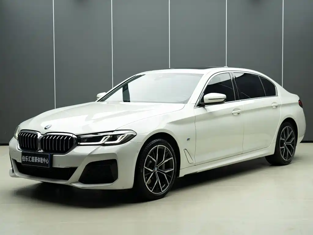 BMW 5 Series — миниатюра 2
