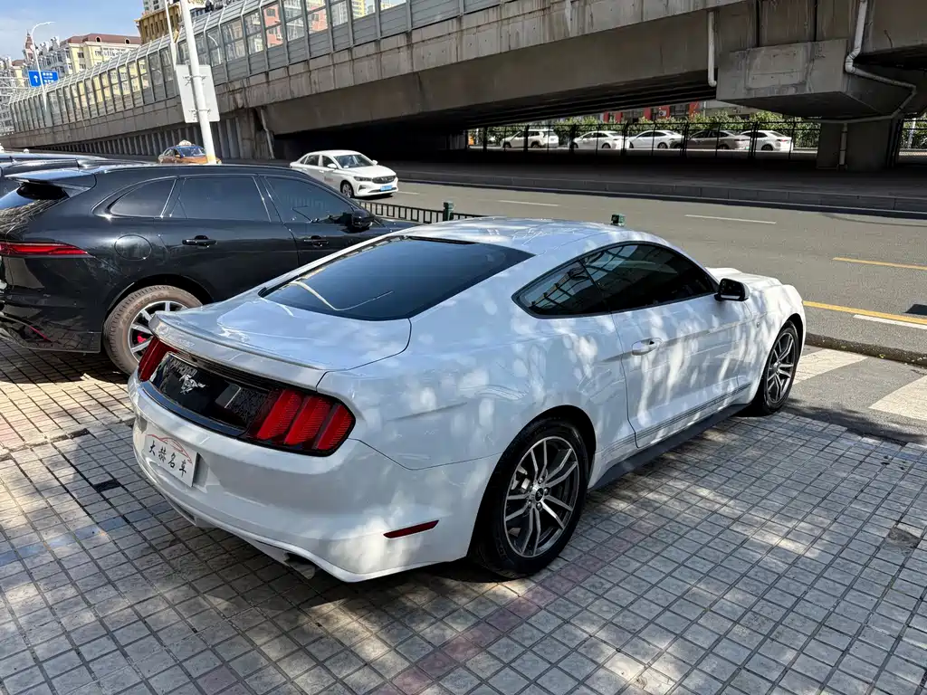 Ford Mustang — миниатюра 4