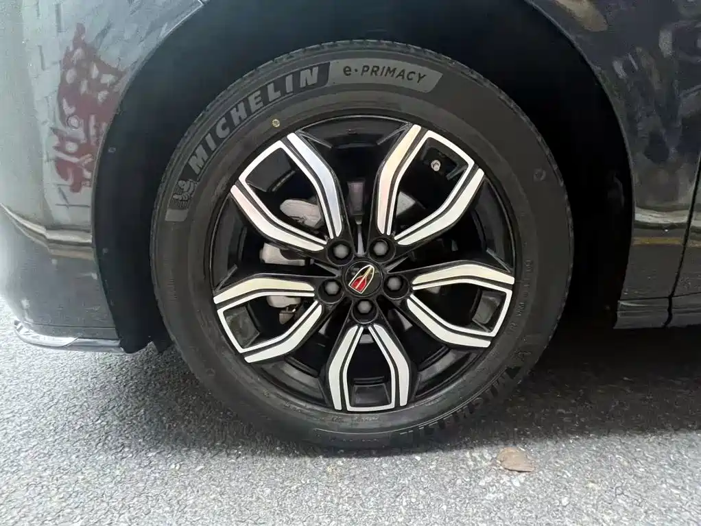 Hongqi Hongqi HQ9 — миниатюра 6