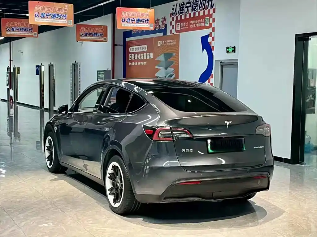Tesla Model Y — миниатюра 9