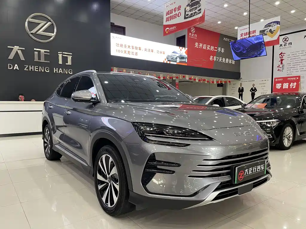 BYD PLUS New Energy — миниатюра 3