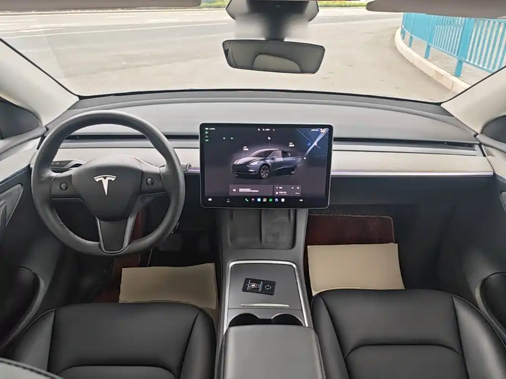 Tesla Model Y — миниатюра 10