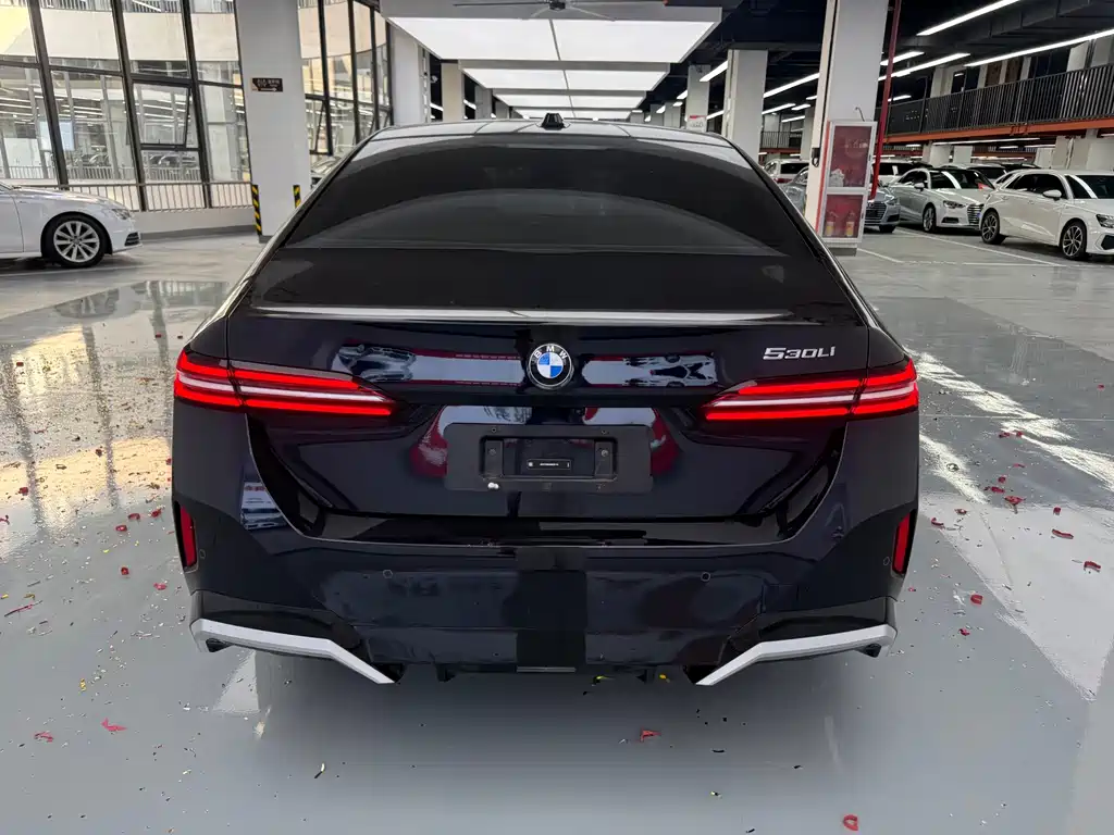 BMW 5 Series — миниатюра 17