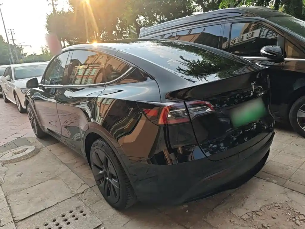 Tesla Model Y — миниатюра 5