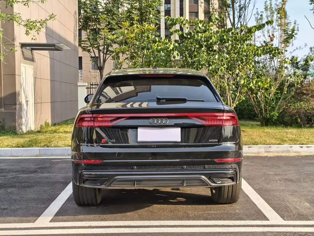 Audi Q8 2022 55 TFSI Luxury