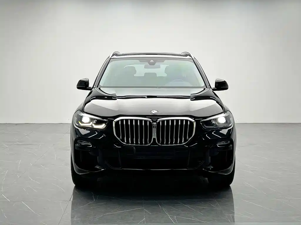 BMW X5 (Import) — миниатюра 2