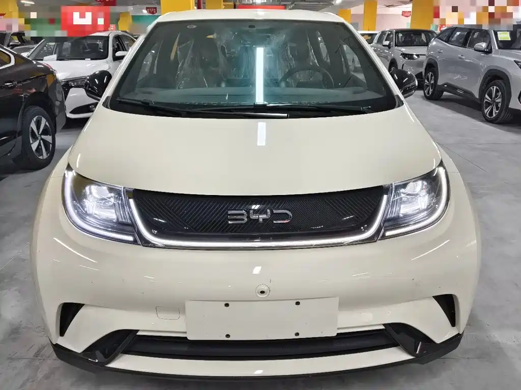 BYD Dolphin — миниатюра 3