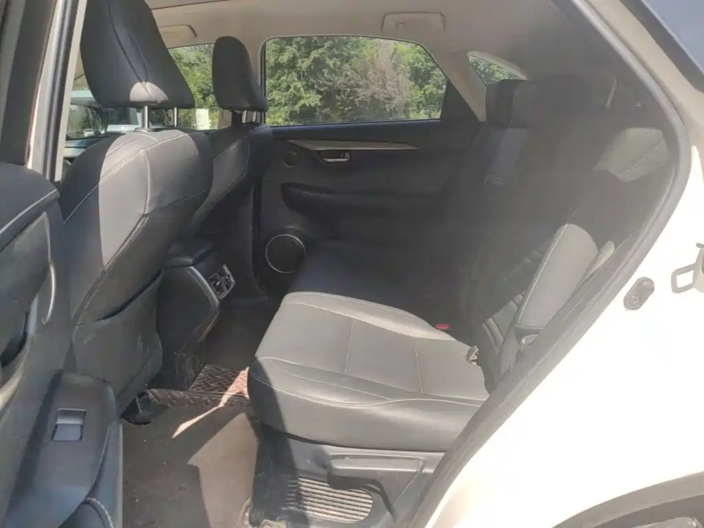 Lexus NX — миниатюра 19