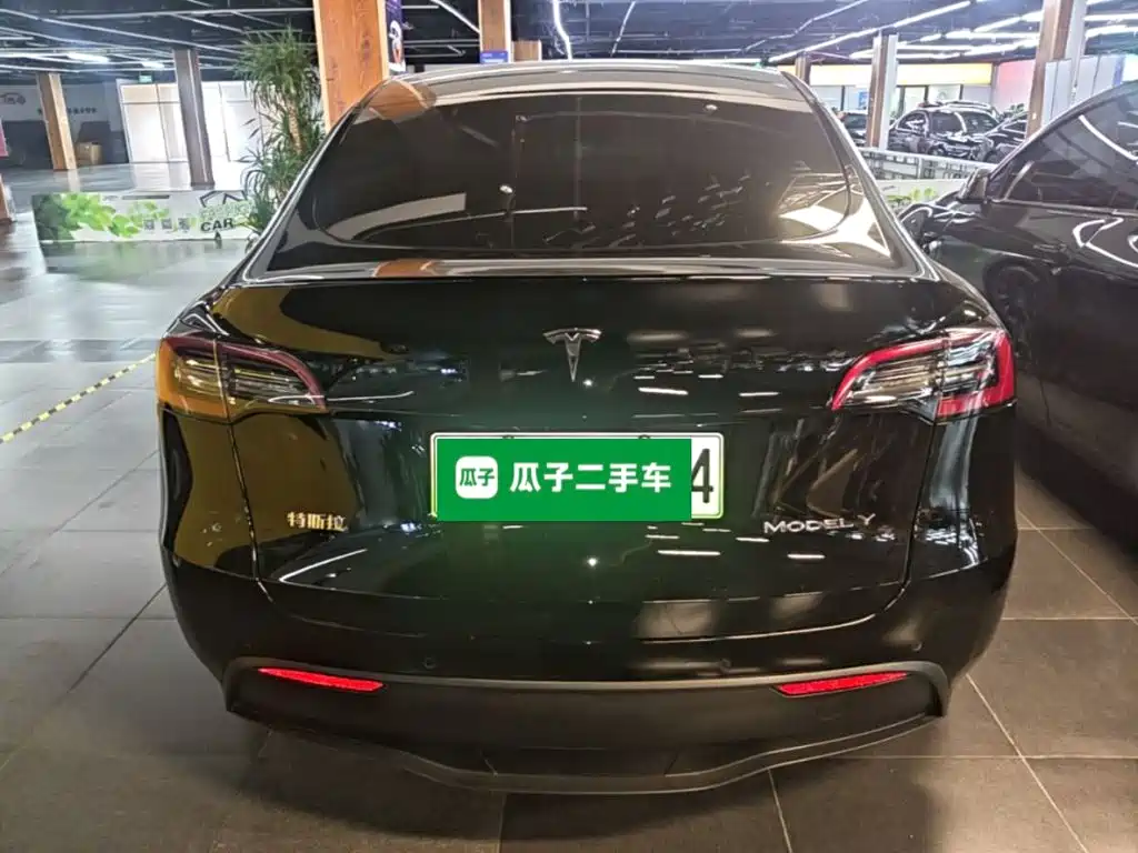 Tesla Model Y — миниатюра 6