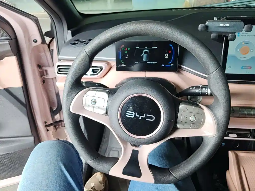 BYD Seagull — миниатюра 11