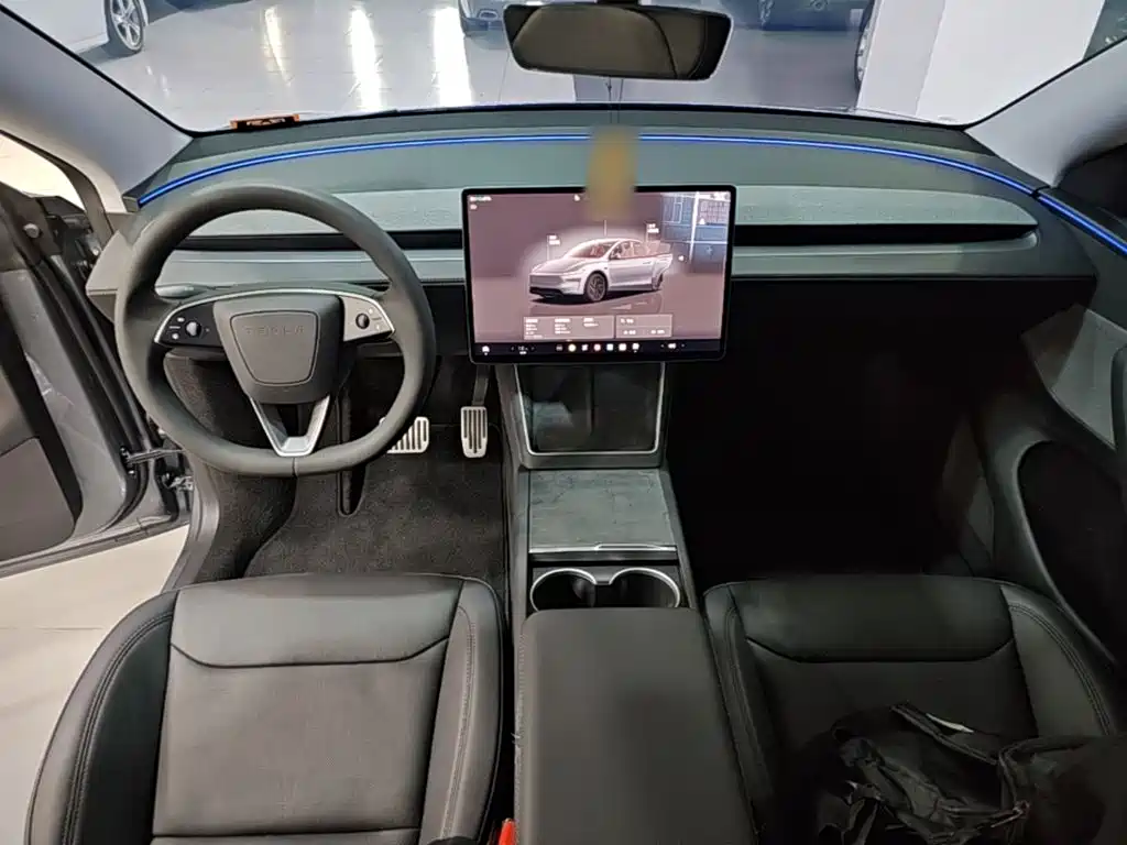 Tesla Model Y — миниатюра 10