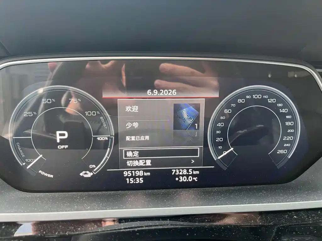 Audi e-tron (Import) — миниатюра 12
