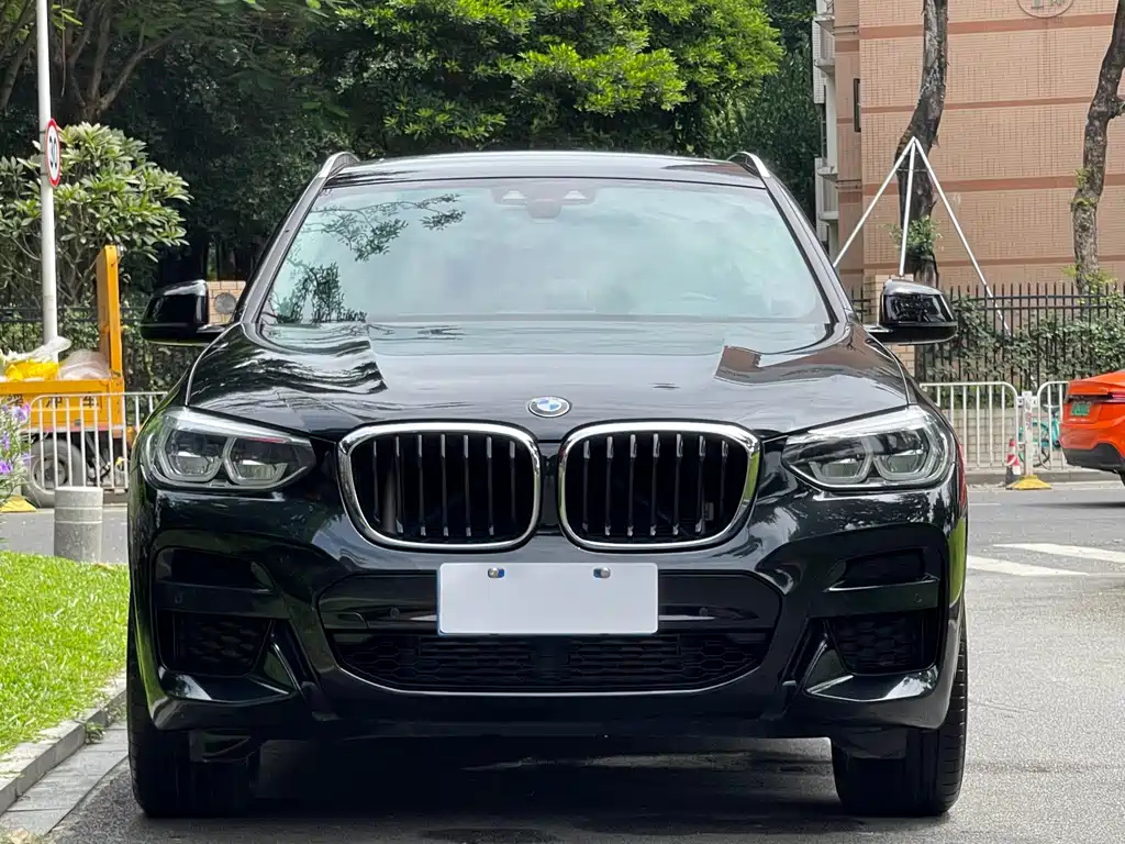 BMW X3 — миниатюра 2