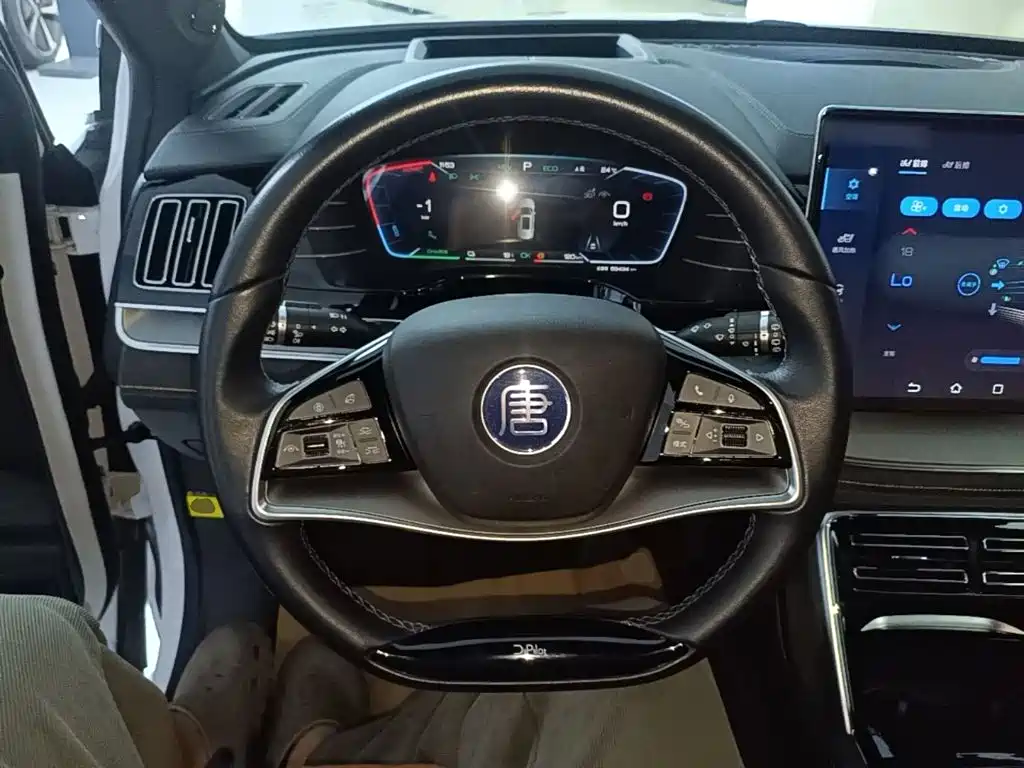 BYD Tang New Energy — миниатюра 11